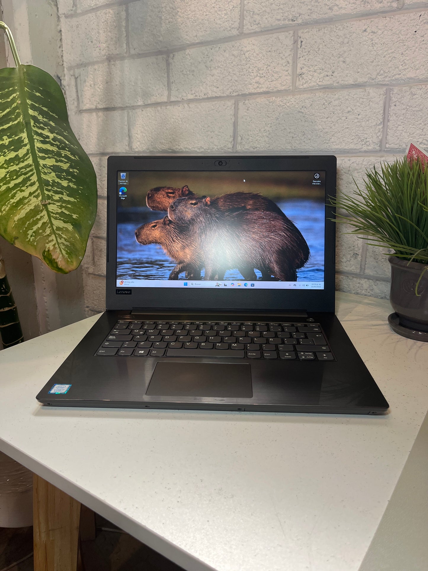 Laptop Lenovo V 330